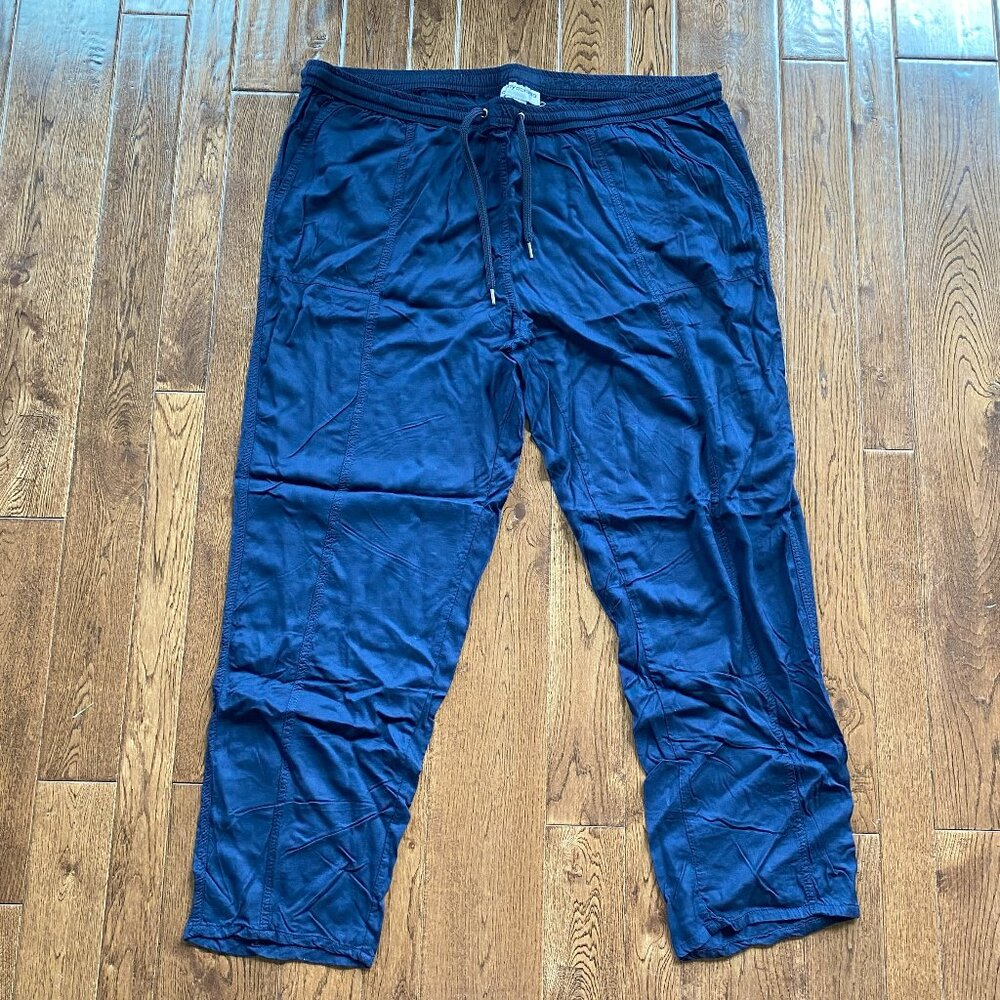 Navy Blue Rayon Cathy Daniels pants 2X